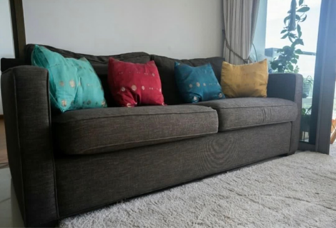 Crate And Barrel Davis Sleeper Sofa Review Matttroy