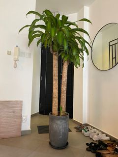 （分類：）位於 。 由 sam41- 提交（商品編號 1187324784，圖片 1）。簡介： 。