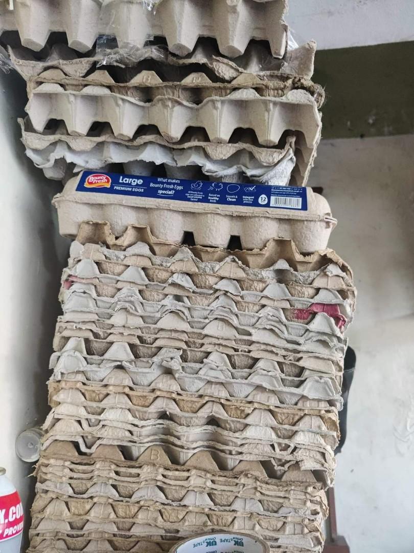 Egg Trays For Sale 2pesos Each, Hobbies & Toys, Stationary & Craft