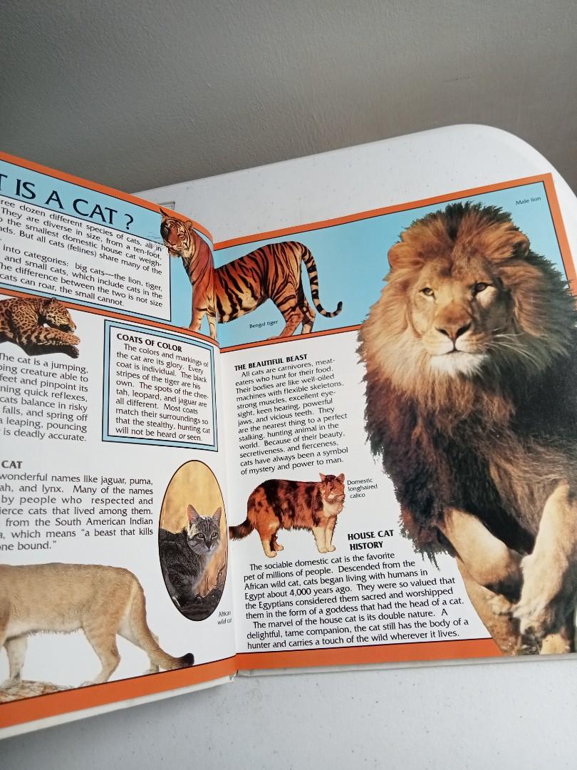 EYES ON NATURE WILD ANIMALS (Category: Children's Books) located in Quezon City. Submitted by parekoymarekoy (Listing ID 1187335770, Image 3). Description: SLIGHTLY USED ONLY CLEAN IN ALL PAGES NO ISSUE.