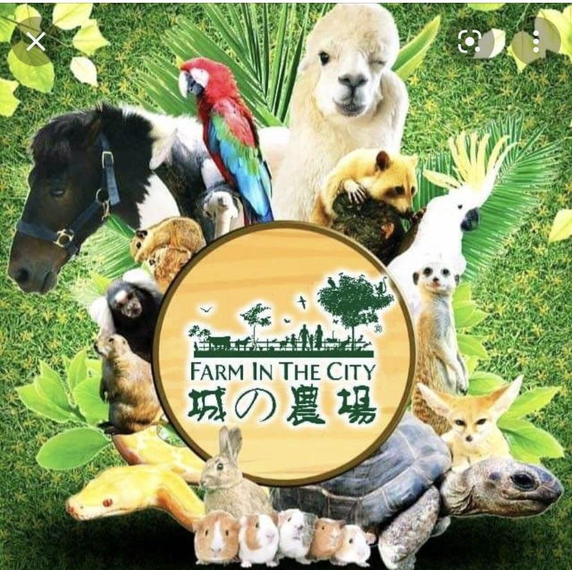 Farm in the city, KL tower mini zoo and The Bentong Farm, Tickets