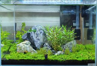 (Category: ) located in . Submitted by hsri1992 (Listing ID 1187270446, Image 1). Description: .