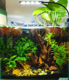 (Category: ) located in . Submitted by hsri1992 (Listing ID 1187272632, Image 1). Description: .