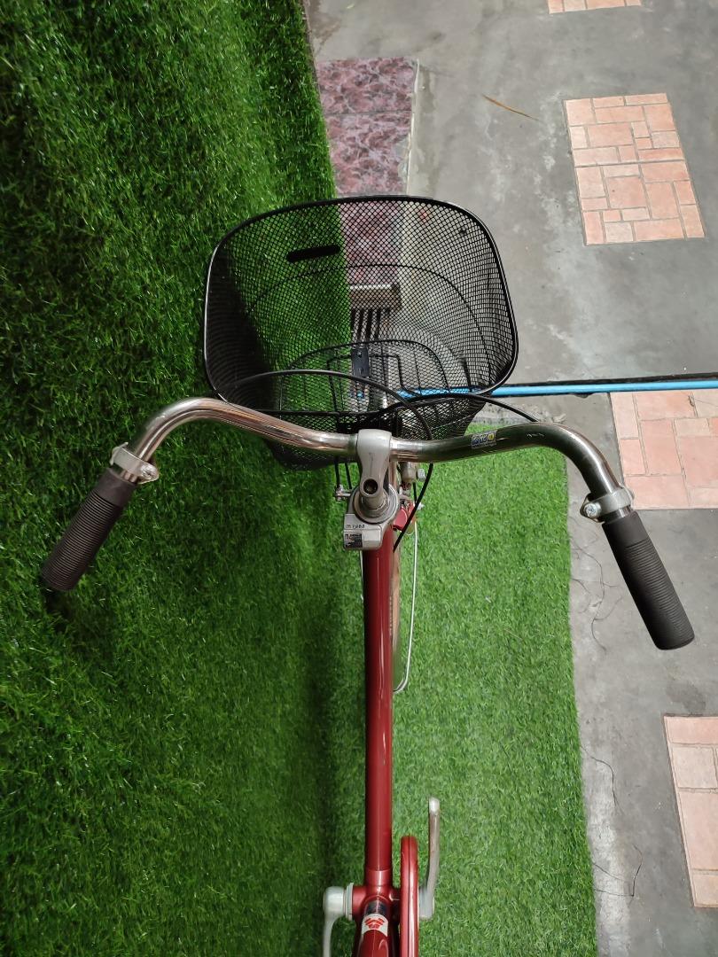 frame miyata