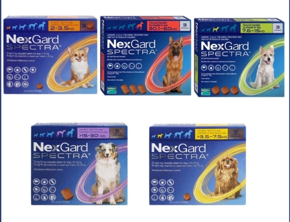 Nexgard spectra sale sizes