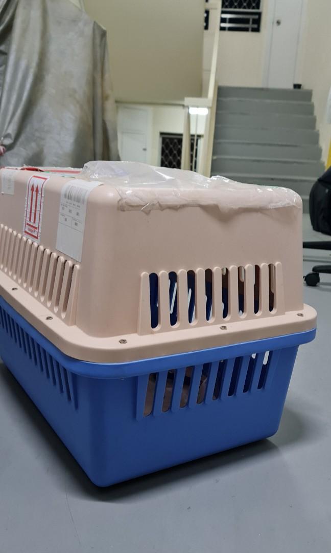 Pet Crate Carrier, Pet Supplies, Homes & Other Pet Accessories on Carousell