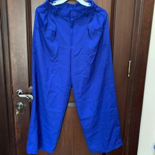 UNBRANDED BLUE ELECTRIC WIDE LEG CULLOTE