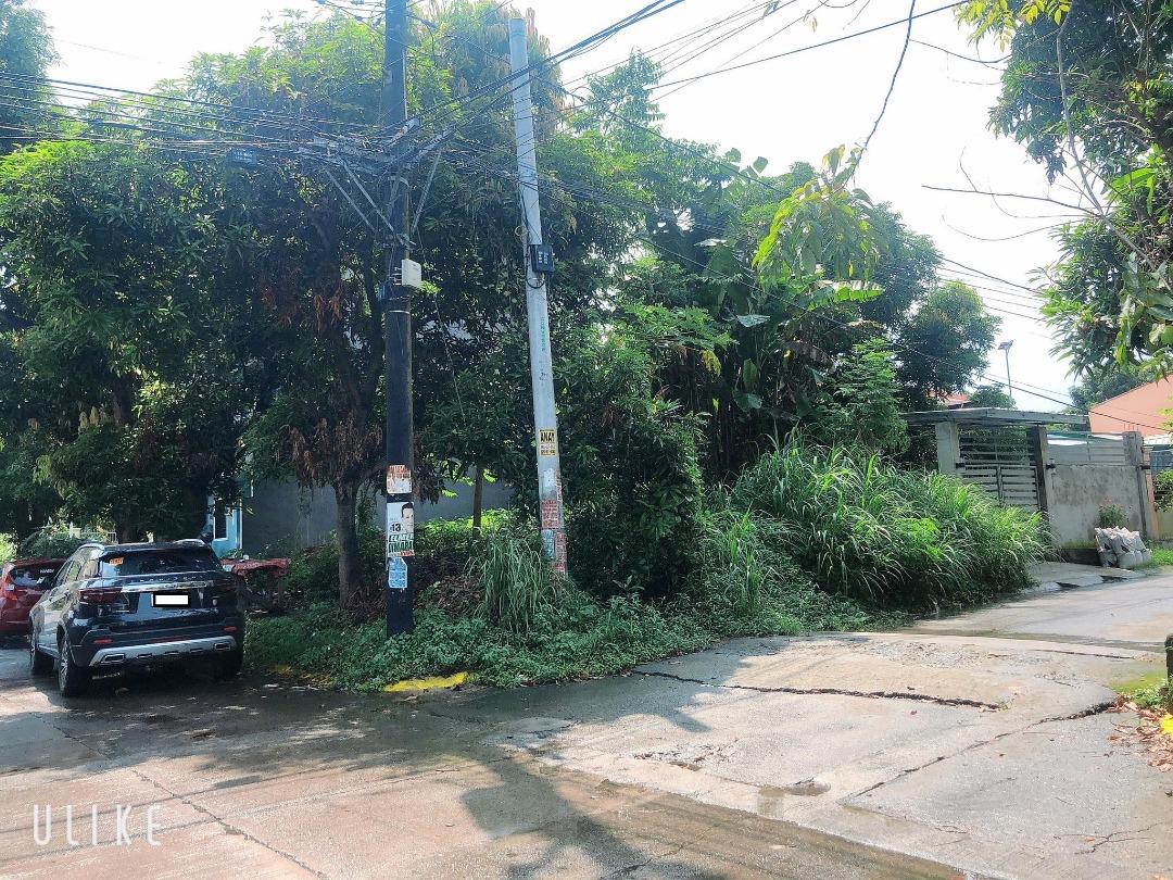 Corner Lot for Sale (TOWN AND COUNTRY SOUTHVILLE), Property, For Sale, Lot on Carousell