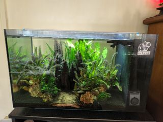 (Category: ) located in . Submitted by minneapolis (Listing ID 1187486169, Image 1). Description: .
