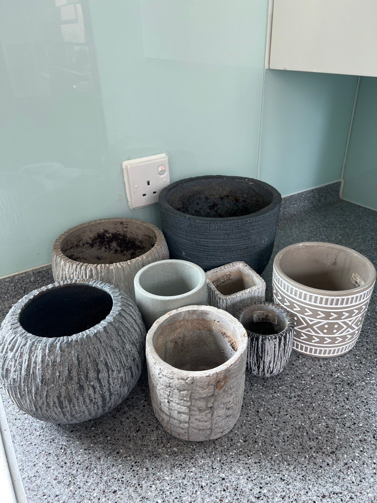 Free Plant Pots!, 傢俬＆家居, 園藝, 盆栽 Carousell