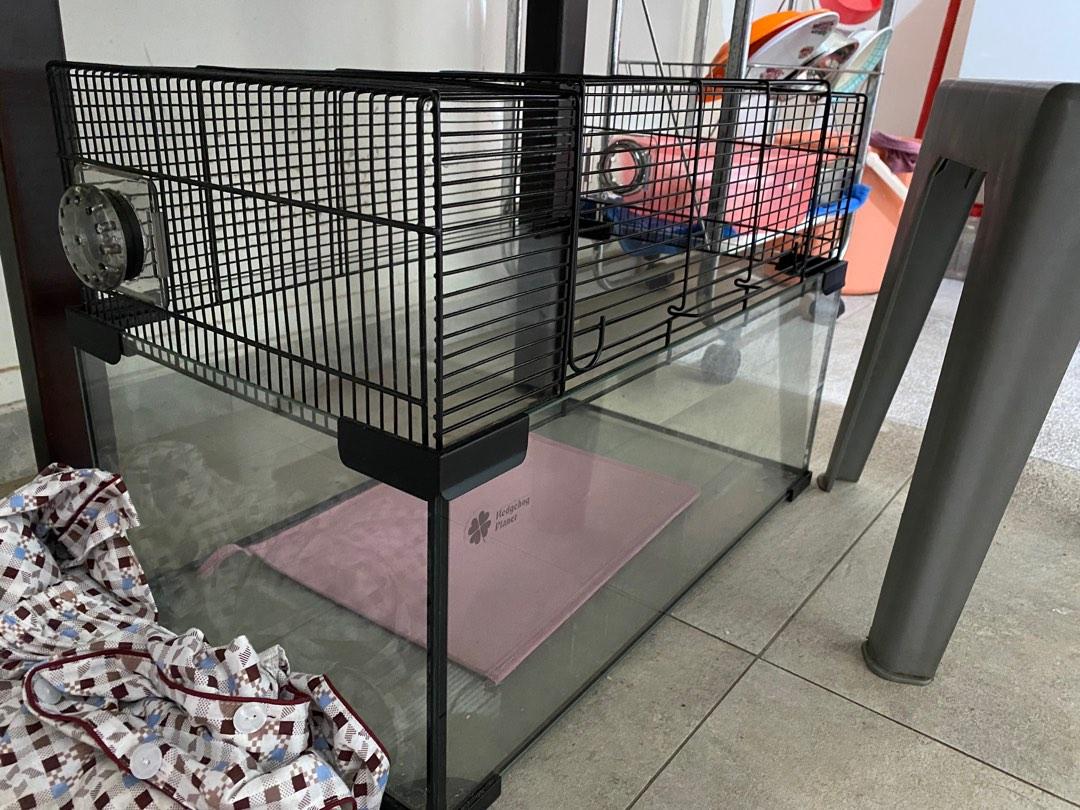 A closer look at Living Space Options Hamster Glass