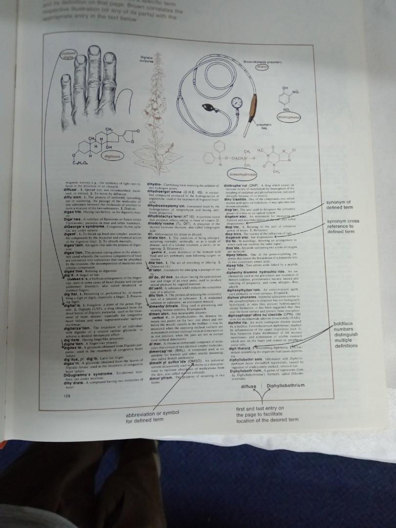 Melons Illustration Medical Dictionary 530 pages, Hobbies & Toys