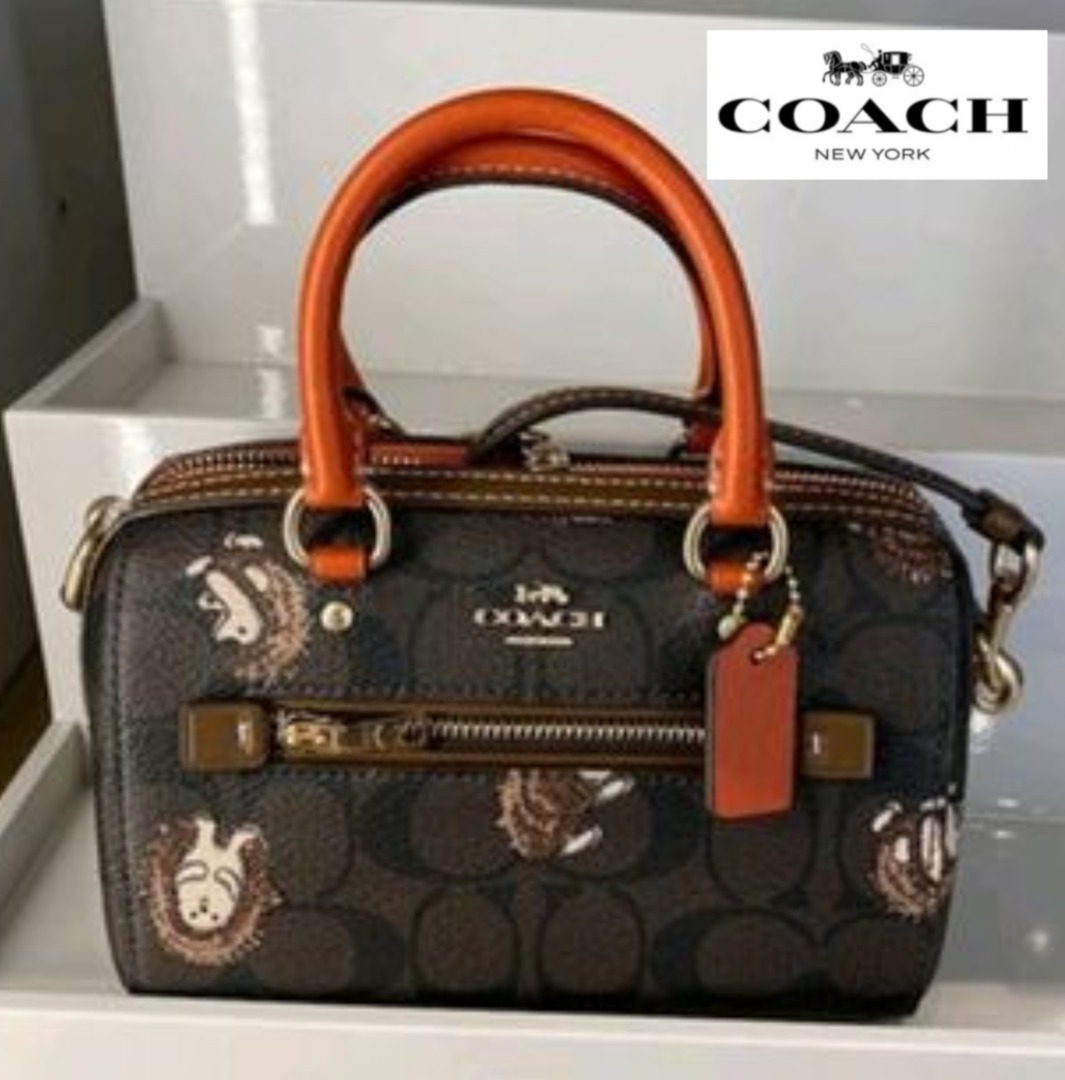 Coach Mini Rowan Crossbody In Signature Canvas With Hedgehog Print