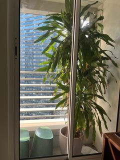 (Category: ) located in . Submitted by antonresh (Listing ID 1187548545, Image 1). Description: .