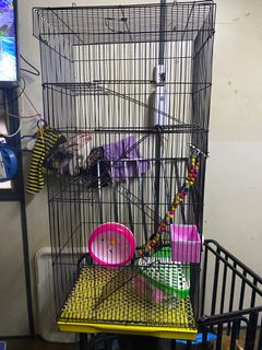 (Category: ) located in . Submitted by misspotatoes (Listing ID 1187491568, Image 1). Description: .