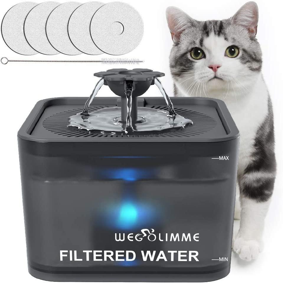 Cat water fountain no plug online