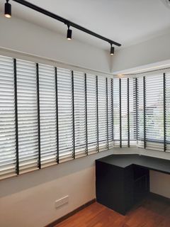 (B) Curtains & Blinds Collection item 2