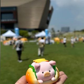 （分類：）位於 。 由 lammmjc 提交（商品編號 1187783940，圖片 1）。簡介： 。