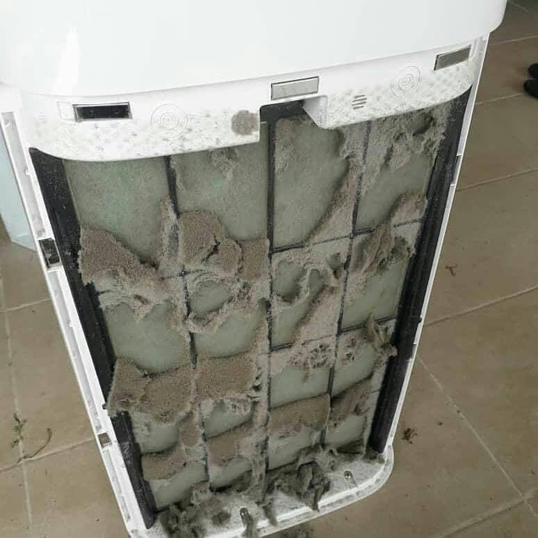 AIR PURIFIER SEDUK HABUK + BULU KUCING, TV & Home Appliances, Air