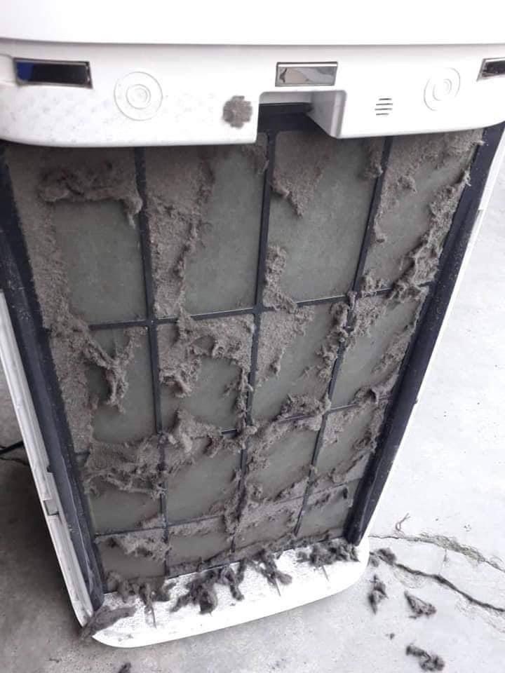 AIR PURIFIER SEDUK HABUK + BULU KUCING, TV & Home Appliances, Air