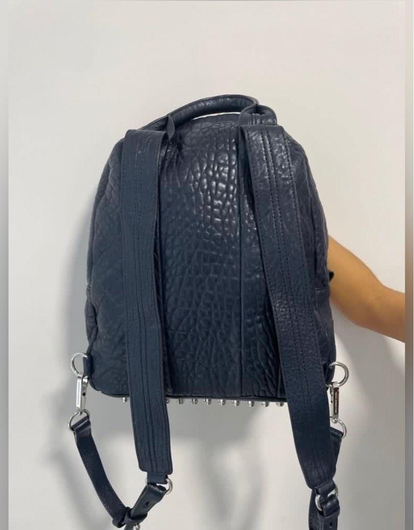 Alexander wang discount dumbo bag
