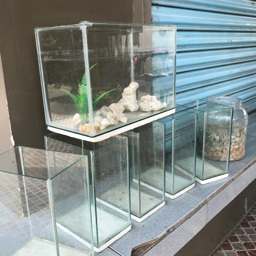 Aquarium Tanks Set, Furniture & Home Living, Home Decor, Vases