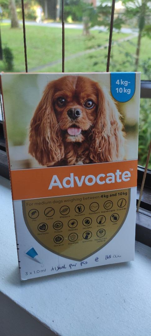 Bayer heartworm prevention hot sale