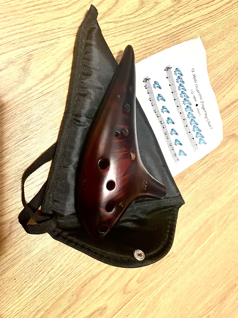 Beautiful 12 hole Ocarina with instructions, Hobbies & Toys, Music