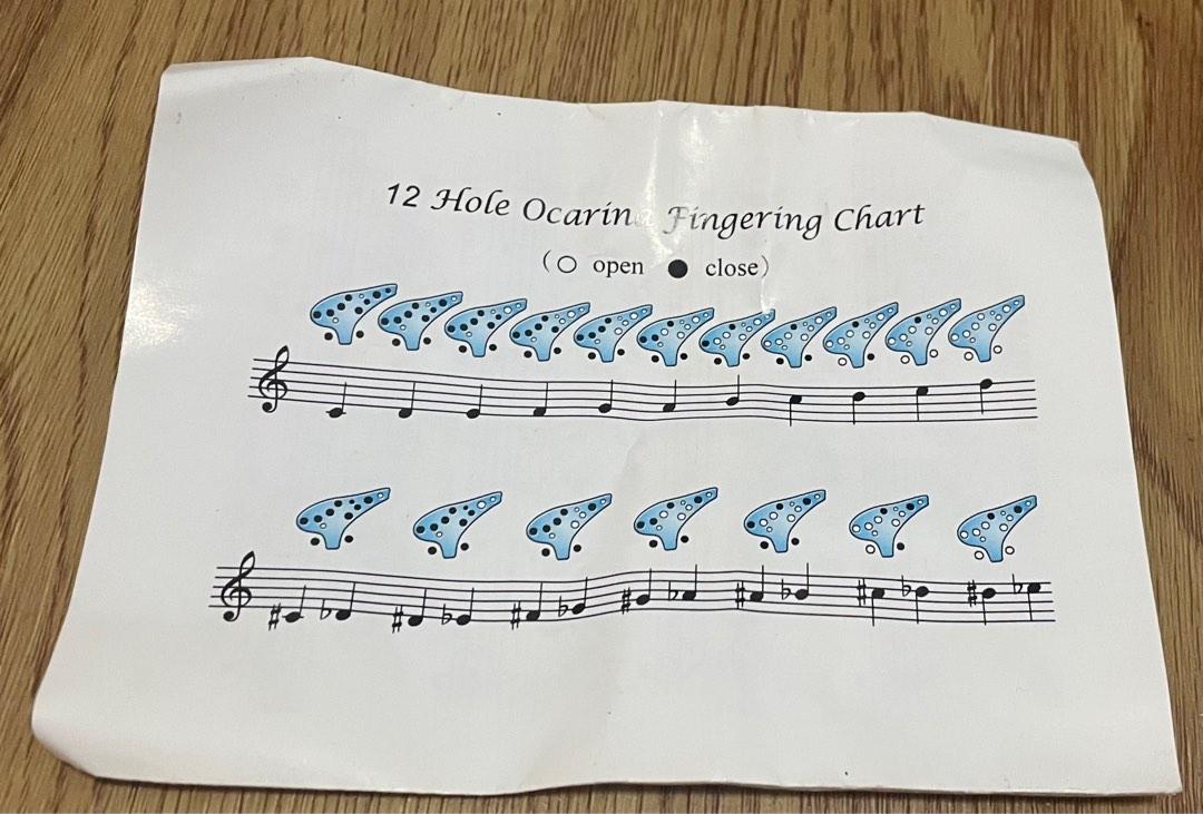 Beautiful 12 hole Ocarina with instructions, Hobbies & Toys, Music