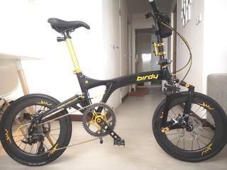 Birdy R20 Black Gold