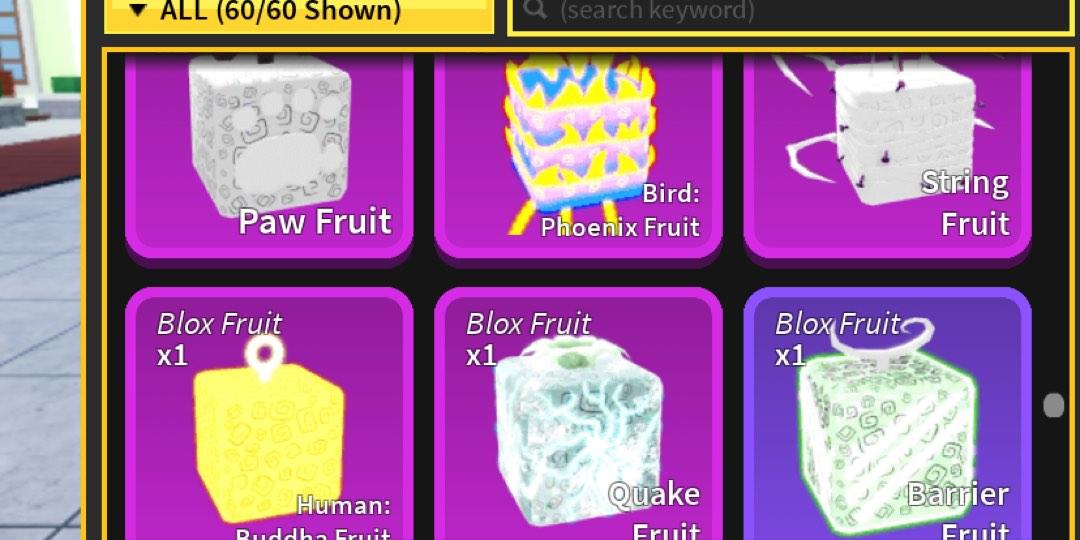 BLOX FRUITS Human: Buddha, 其他, 其他- Carousell