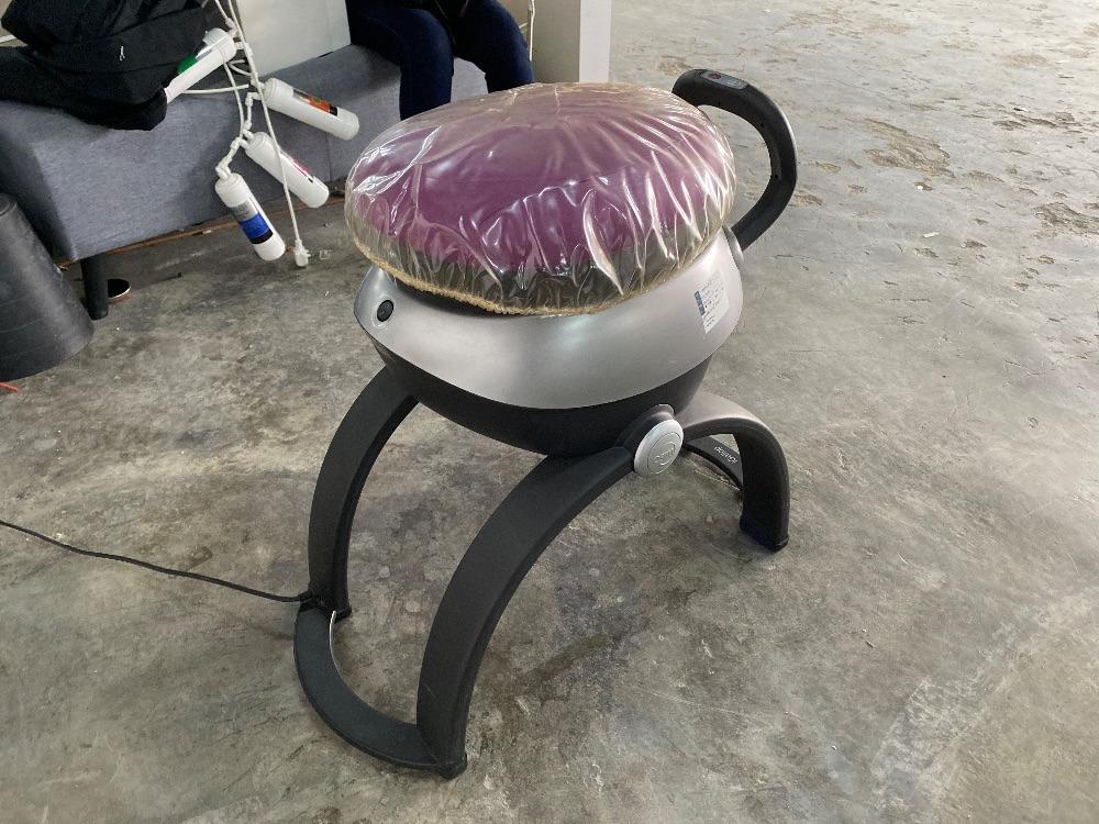 Brookstone igallop 2025