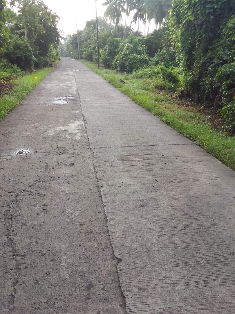 Farm lot in San Antonio Quezon, Property, For Sale, Lot on Carousell