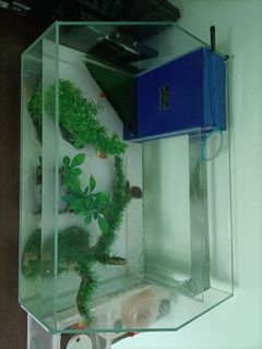 (Category: ) located in . Submitted by DavisLim (Listing ID 1187657768, Image 1). Description: .