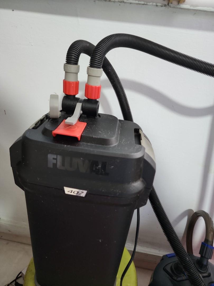 Fluval 407, Pet Supplies, Homes & Other Pet Accessories on Carousell