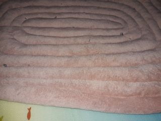 (Category: ) located in . Submitted by MelbertCollection (Listing ID 1187754872, Image 1). Description: .
