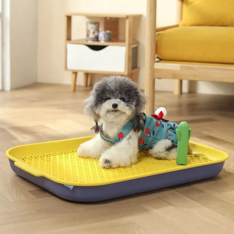 iDS Premium Pets Pee Tray Dog Toilet Pee Holder Washable ABS material Pet Supplies Homes Other Pet Accessories on Carousell