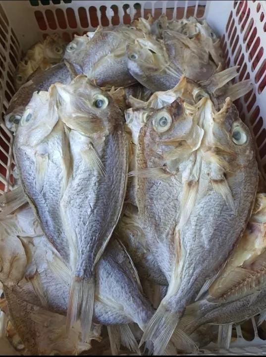 JGSC DRIED FISH SILAY 350 GRAMS, Food & Drinks, Packaged & Instant Food