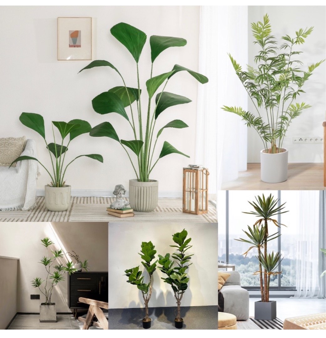 Tall faux shop plants