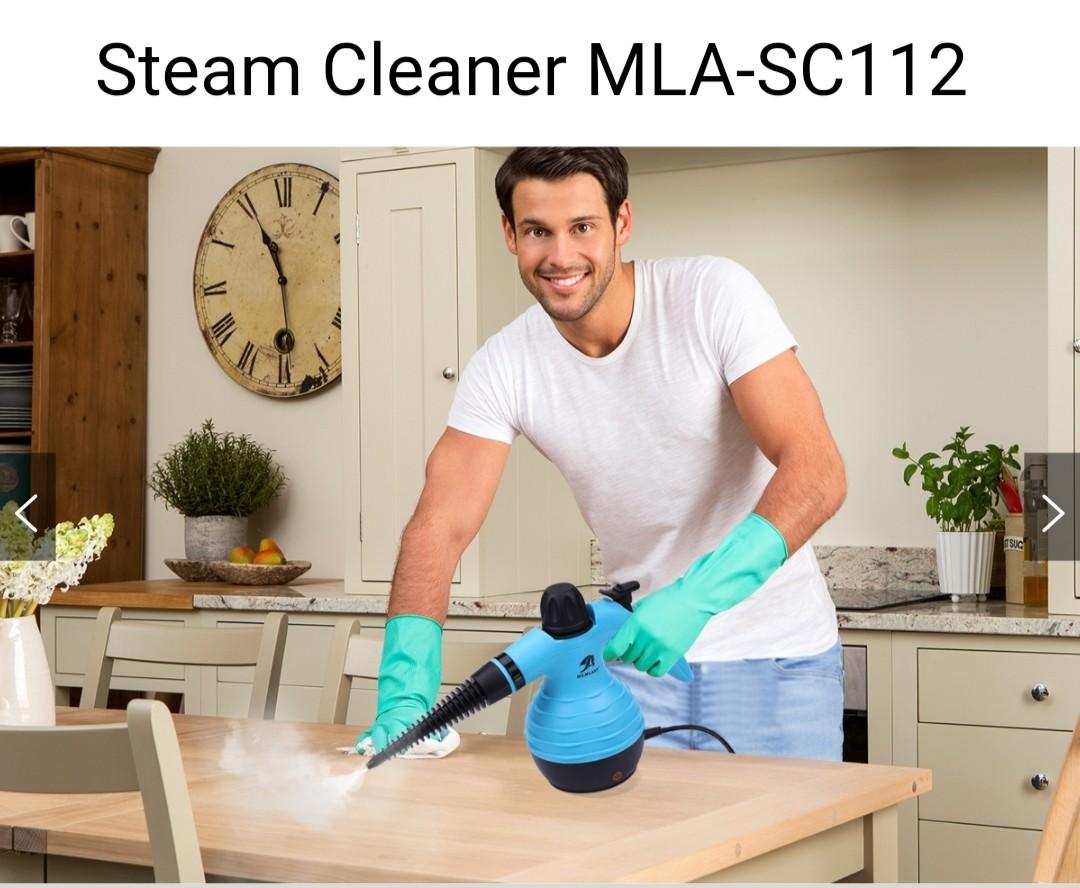 hand held cleaning steamer