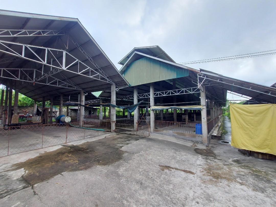 Piggery farm for sale (Category: Lot) located in Quezon City. Submitted by nispat (Listing ID 1187672029, Image 1). Description: 12k+ sq m.,with house and lot 4 bedroom with 3 big cabinet,3 cr,living area n dining area with kitchen area.warehouse with 2 types of feed mixer with motor,generator n water tank with motor. for sale only.