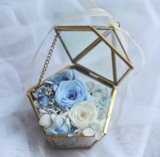 (Category: ) located in . Submitted by yellow_petals (Listing ID 1187751128, Image 1). Description: .