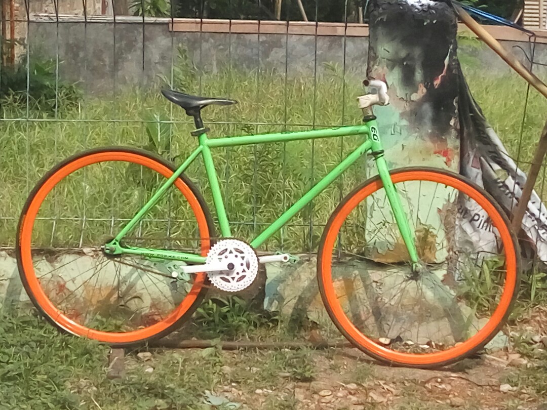 Fixie evergreen outlet
