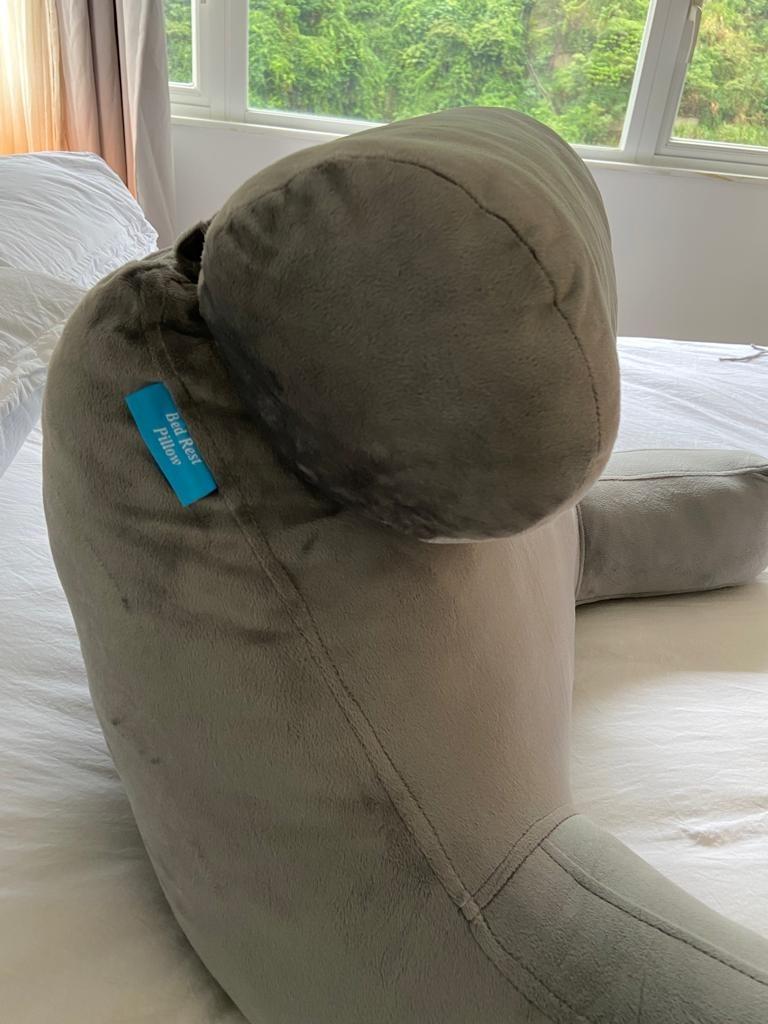 Zoemo bed 2025 rest reading pillow
