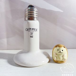 （分類：）位於 。 由 hongkonghedgehog 提交（商品編號 1187788401，圖片 1）。簡介： 。