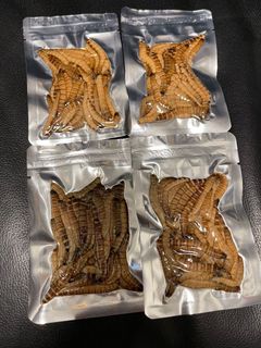 （分類：）位於 。 由 reptile14968 提交（商品編號 1152470332，圖片 1）。簡介： 。