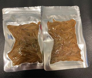 （分類：）位於 。 由 reptile14968 提交（商品編號 1148173641，圖片 1）。簡介： 。