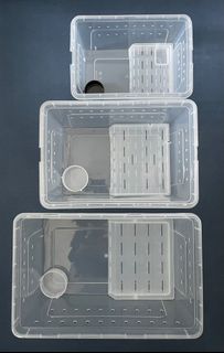 （分類：）位於 。 由 reptile14968 提交（商品編號 1130075736，圖片 1）。簡介： 。