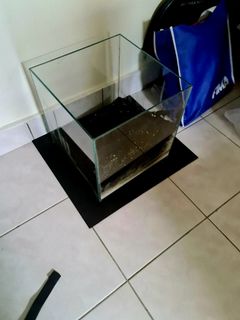 (Category: ) located in . Submitted by kamkenneth79 (Listing ID 1182543449, Image 1). Description: .