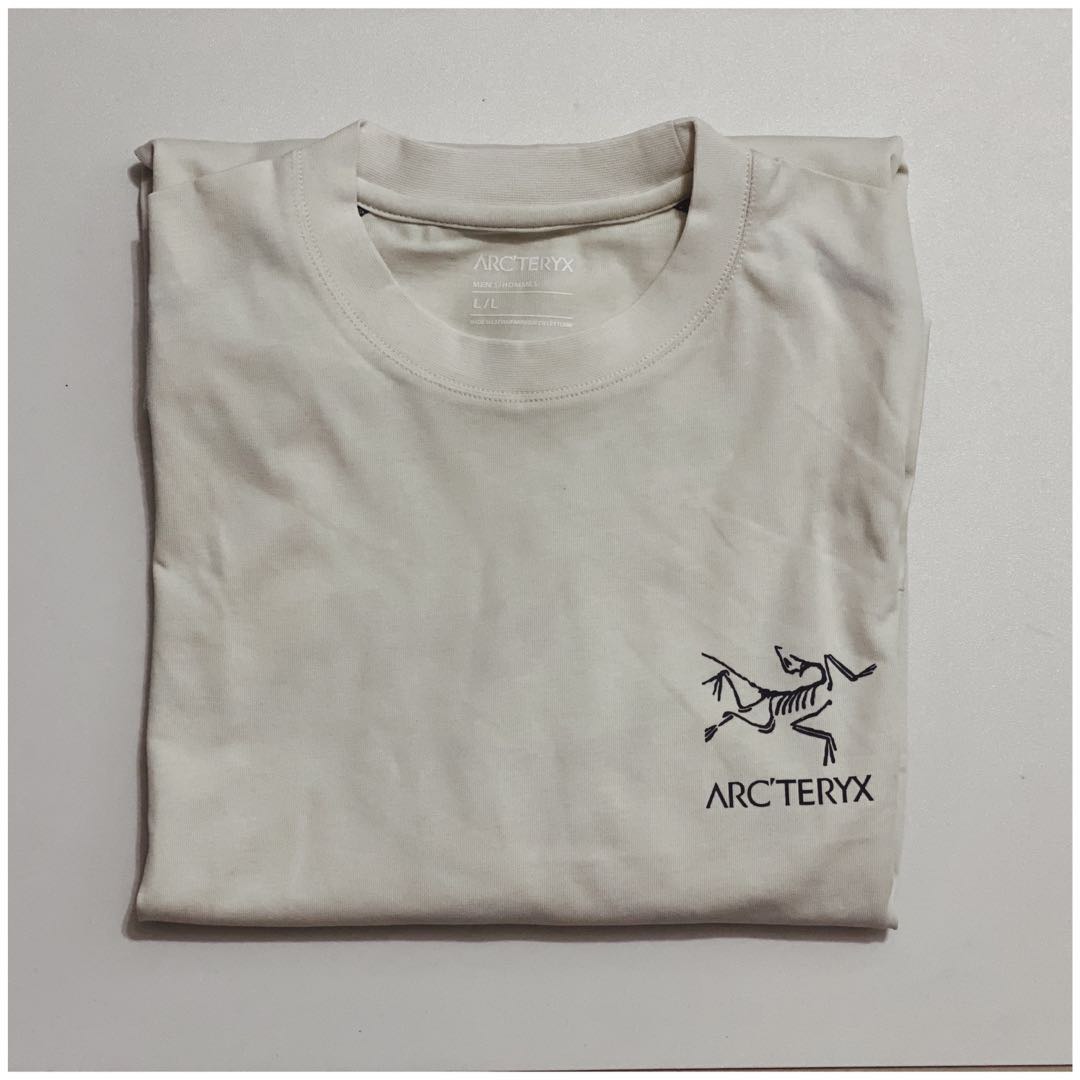 Arc'teryx System A Copalbird L/S Tshirt - メンズ